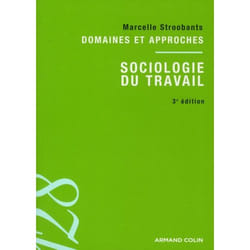 Sociologie du travail - domaines et approches (3e édition)