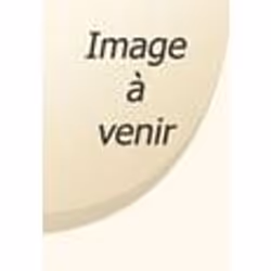 ISBN Sociologie De La Diversite Et Des Discriminations, société, Français