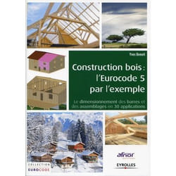 Construction bois : l'Eurocode 5 par l'exemple - Le dimensionnement des barres et des assemblages en 30 applications. (Broché)