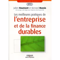 ISBN Les meilleures pratiques de l'entreprise et de la finance durables, Livre broché, 238 pages