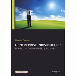ISBN L'entreprise individuelle, Livre broché, 206 pages