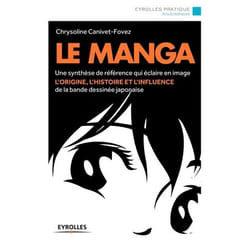 Le manga - son histoire illustrée, des origines à nos jours