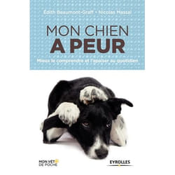 Mon chien a peur mieux le comprendre et l'apaiser au quotidien