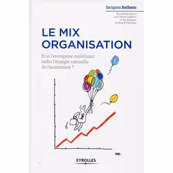 ISBN Le mix organisation, Livre broché, 150 pages