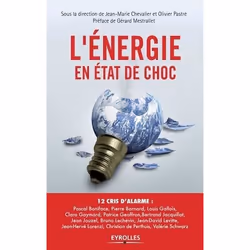 ISBN L'énergie en état de choc, Livre broché, 114 pages