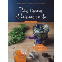 Thés - tisanes et boissons santé à faire soi-même - pour offrir ou se faire plaisir