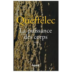 Fayard LE VEAU D´OR EST TOUJOURS DEBOUT livre