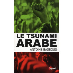 Le tsunami arabe