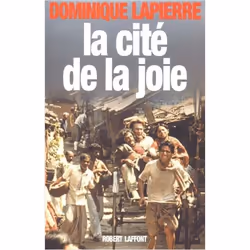 ISBN 9782221073391, Français, Livre broché, 528 pages