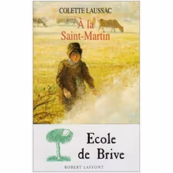 ISBN 9782221085981, Français, Livre broché, 224 pages