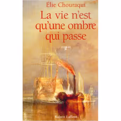 ISBN 9782221088906, Français, Livre broché, 368 pages