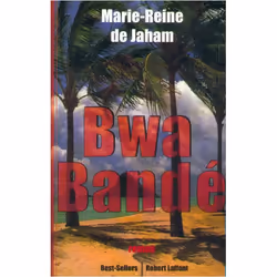 ISBN 9782221091081, Français, Livre broché, 336 pages