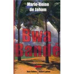 ISBN 9782221091081