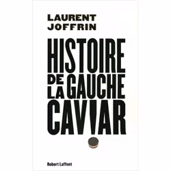 ISBN 9782221104859, Français, Livre broché, 216 pages