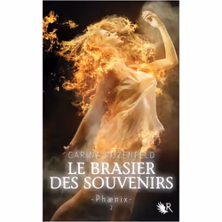 ISBN 9782221133798, Français, Livre broché, 432 pages
