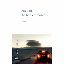 ISBN 9782221134290, Français, Livre broché, 312 pages