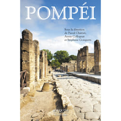ISBN Pompei : Le livre de Pascal Charvet, Stéphane GOMPERTZ, Annie Collognat