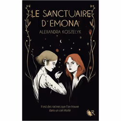 ISBN 9782221258569, Français, Livre broché, 400 pages