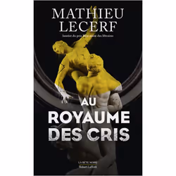 ISBN 9782221259245, Français, Livre broché, 336 pages