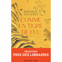 ISBN Comme un tigre de feu : Le livre de Baptiste Touverey, Roman, 484 pages