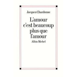L'Amour c'est beaucoup plus que l'amour : Croquis d'un paysage changeant