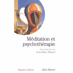 ISBN Méditation et psychothérapie, Psychologie, Français, Livre broché, 256 pages