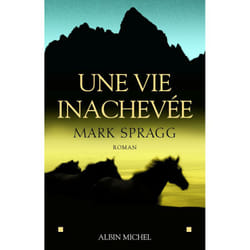 Une vie inachevée