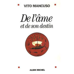 Albin Michel DE L AME ET DE SON DESTIN UN ANTI MANUEL DE THEOLOGIE livre Français Livre broché