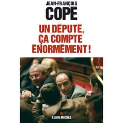 Un député, ça compte énormément !