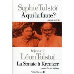 Albin Michel A QUI LA FAUTE ? livre Français