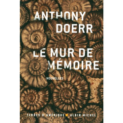 Albin Michel LE MUR DE MÉMOIRE livre