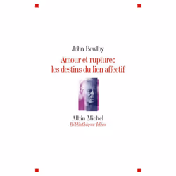 ISBN Amour et rupture : les destins des liens affectifs, Psychologie, Français, Livre broché, 272 pages