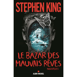 Albin Michel LE BAZAR DES MAUVAIS RÊVES livre