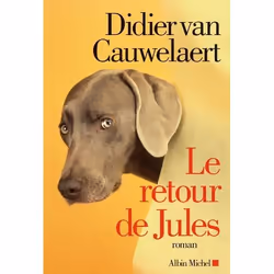 Albin Michel LE RETOUR DE JULES, Français, Livre broché