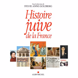 ISBN Histoire juive de la France, histoire, Français, Livre broché, 1088 pages