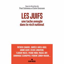 ISBN Les Juifs, une tache aveugle dans le récit national, histoire, Français, Livre broché, 304 pages