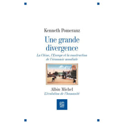 Une grande divergence (Espaces Libres - Histoires)