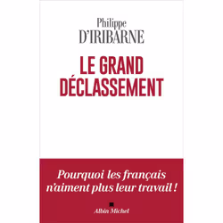 ISBN Le Grand Déclassement, société, Français, Livre broché, 176 pages