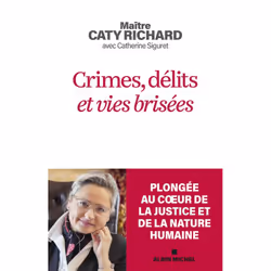ISBN Crimes, délits et vies brisées, société, Français, Livre broché, 256 pages