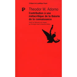 Contribution à une métacritique de la théorie de la connaissance