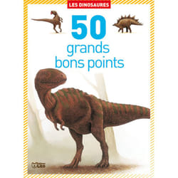 Editions Lito 01816 livre Dinosaures Français Couverture rigide