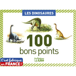 Editions Lito 01925 livre Dinosaures Français Couverture rigide