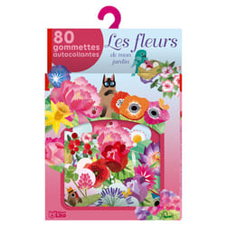 Editions Lito 06067 adhésif pour enfant