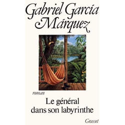 Le général dans son labyrinthe