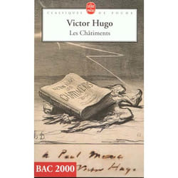Les Châtiments (Poche)