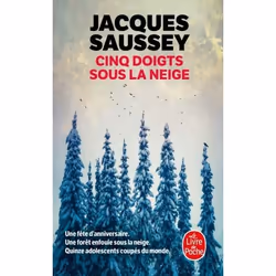 ISBN Cinq doigts sous la neige, Français, 480 pages