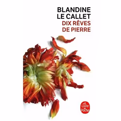 ISBN Dix rêves de pierre, Novel, Français, 216 pages