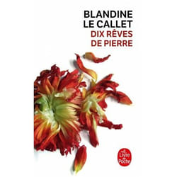 ISBN Dix rêves de pierre livre Novel Français