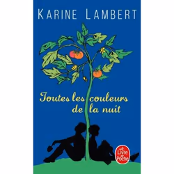 ISBN Toutes les couleurs de la nuit, Roman, 336 pages