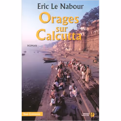 ISBN 9782258065000, Français, Livre broché, 420 pages